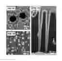 Fig. 08 - Method to fabricate functionalized conical nanopores