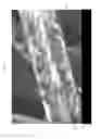 Fig. 02 - Graphene coated substrates and resulting composites