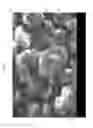 Fig. 03 - Graphene coated substrates and resulting composites
