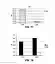 Fig. 83 - Microorganisms and methods for production of 4-hydroxybutyrate, 1,4-butanediol and related compounds