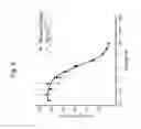 Fig. 05 - Single-chain insulin agonists exhibiting high activity at the insulin receptor
