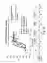 Fig. 33 - Single-chain insulin agonists exhibiting high activity at the insulin receptor