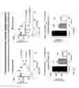 Fig. 45 - Single-chain insulin agonists exhibiting high activity at the insulin receptor