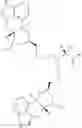 Fig. 07 - Somatostatin-dopamine chimeric analogs