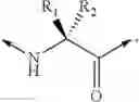 Fig. 11 - Somatostatin-dopamine chimeric analogs