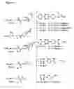 Fig. 02 - METHODS OF INCORPORATING AN AMINO ACID COMPRISING A BCN GROUP INTO A POLYPEPTIDE USING AN ORTHOGONAL CODON ENCODING IT AND AN ORTHORGONAL PYLRS SYNTHASE