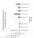 Fig. 37 - RNA interference mediated inhibition of gene expression using chemically modified short interfering nucleic acid (siNA)