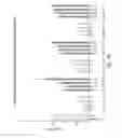 Fig. 40 - RNA interference mediated inhibition of gene expression using chemically modified short interfering nucleic acid (siNA)