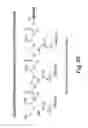 Fig. 49 - RNA interference mediated inhibition of gene expression using chemically modified short interfering nucleic acid (siNA)