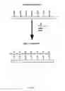 Fig. 02 - Methods for Biodegradable Derivatization of Cellulosic Surfaces