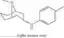 Fig. 50 - Nicotinic acetylcholine receptor modulators