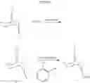 Fig. 75 - Nicotinic acetylcholine receptor modulators