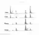 Fig. 12 - NOVEL REAGENTS AND METHOD FOR CONJUGATING BIOLOGICAL MOLECULES