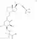 Fig. 05 - 23-yne-vitamin Dderivative