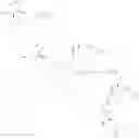 Fig. 15 - 23-yne-vitamin Dderivative