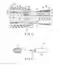 Fig. 09 - Driving force transmitting unit, insertion instrument, rotary unit, insertion body assembly, and insertion device