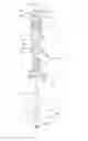 Fig. 06 - SWITCHING VALVE UNIT AND ENDOSCOPE APPARATUS