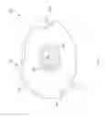 Fig. 09 - Testing member for eliciting a blood sample