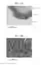 Fig. 15 - INFORMATION OBTAINING APPARATUS AND METHOD FOR OBTAINING INFORMATION