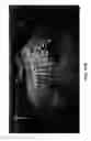 Fig. 20 - Ultrasonographic images processing