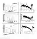 Fig. 07 - Detection of progressive central hypovolemia