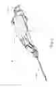 Fig. 02 - Biopsy device with translating valve assembly