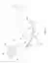 Fig. 06 - Range of motion device