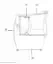 Fig. 01 - DEVICE FOR STIMULATING CAPILLARY CONDITIONING