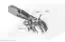 Fig. 01 - ISOLATED ORTHOSIS FOR THUMB ACTUATION