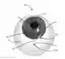 Fig. 01 - Methods, systems and devices for treating glaucoma