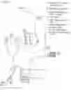 Fig. 03 - Simplified Microplegia Delivery System
