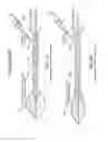 Fig. 02 - Balloon catheter system