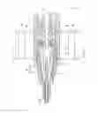 Fig. 08 - INDWELLING NEEDLE DEVICE