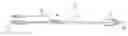 Fig. 01 - MEDICAL BALLOON WITH A PRECISELY IDENTIFIABLE PORTION