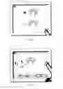 Fig. 32 - SYSTEMS, APPARATUS, METHODS, AND PROCEDURES FOR THE NON-INVASIVE TREATMENT OF TISSUE USING MICROWAVE ENERGY