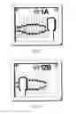Fig. 37 - SYSTEMS, APPARATUS, METHODS, AND PROCEDURES FOR THE NON-INVASIVE TREATMENT OF TISSUE USING MICROWAVE ENERGY