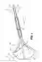 Fig. 04 - Medical retrieval devices and related methods of use