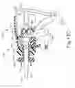 Fig. 23 - Features for coupling surgical instrument shaft assembly with instrument body
