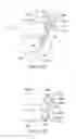 Fig. 09 - Spinal stabilization systems and methods