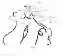 Fig. 23 - Cervical spinous process staple