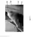 Fig. 34 - Method for functional electrical stimulation therapy