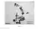 Fig. 13 - Noble metal nanoparticles, method for preparing the same and their application