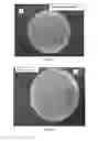 Fig. 15 - Noble metal nanoparticles, method for preparing the same and their application