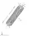 Fig. 02 - STENT WITH DUAL SUPPORT STRUCTURE