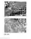 Fig. 06 - Nanostructured surfaces for biomedical/biomaterial applications and processes thereof