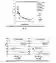 Fig. 12 - NMR quantification of TMAO