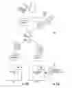 Fig. 17 - NMR quantification of TMAO