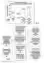 Fig. 08 - Multi-parameter diabetes risk evaluations