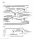 Fig. 02 - NETWORK SYSTEM, CONSTANT CONNECTION METHOD, COMMUNICATION METHOD,ELECTRONIC DEVICE, CONSTANT CONNECTION SERVER, APPLICATION SERVER, AND PROGRAM