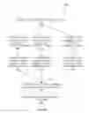 Fig. 07 - Internationalization with virtual staging and versioning